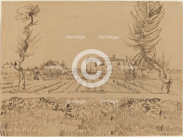 Ploughman in the Fields near Arles, 1888. Creator: Vincent van Gogh.