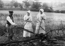 Ploughman, late 19th or early 20th century. Creator: Unknown