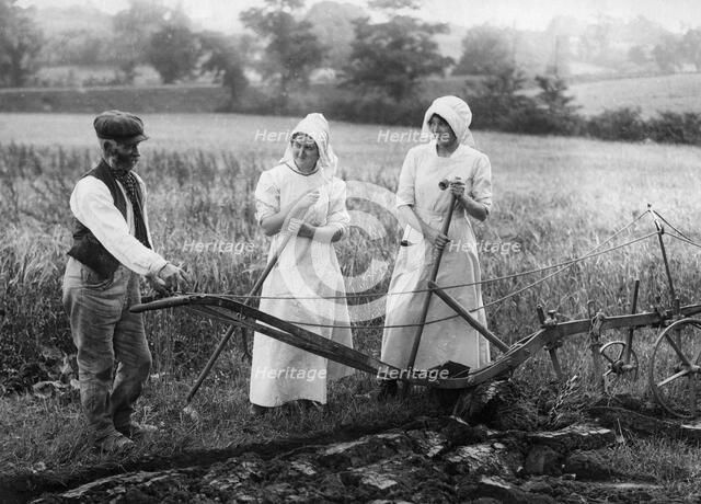 Ploughman, late 19th or early 20th century. Artist: Unknown