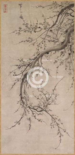 Prunus, 17th century. Creator: Kano Ein? (Japanese, 1631-1697), attributed to.