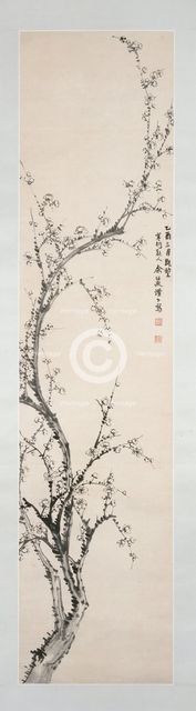 Prunus branch, 16554. Creator: Yu Shaosong.