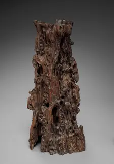 Prunus Wood, 1700-1899. Creator: Unknown