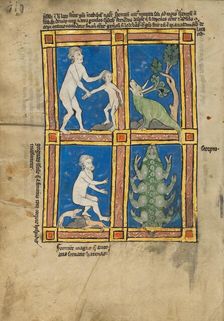 Praesillus; A Hairy Woman of the Island of Gorgade; A Scorpion; De Natura Avium..., 1277 or after. Creator: Unknown