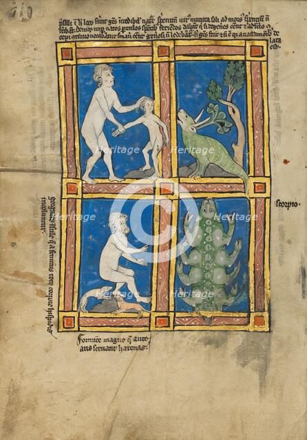 Praesillus; A Hairy Woman of the Island of Gorgade; A Scorpion; De Natura Avium..., 1277 or after. Creator: Unknown.