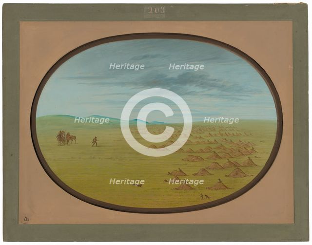 Prairie Dog Village, 1861/1869. Creator: George Catlin.