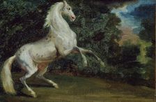 Prancing Horse, 1808/12. Creator: Unknown