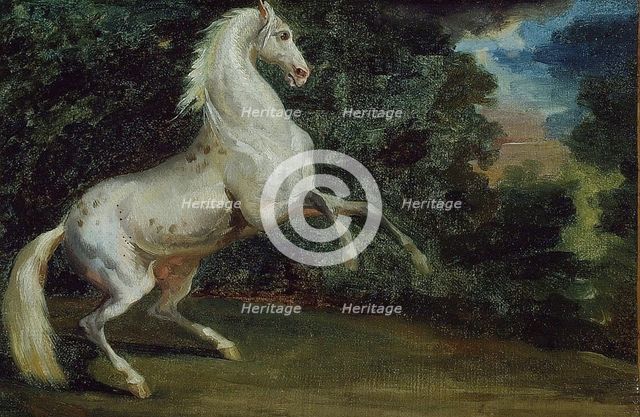Prancing Horse, 1808/12. Creator: Unknown.