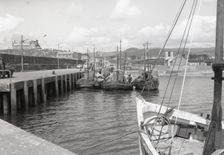 Prawn drifters, Kilkeel Harbour, County Down, Northern Ireland, c1955. Creator: Arthur Charles Kirby Ware