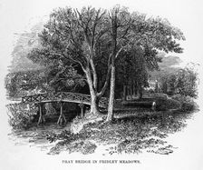 Pray Bridge in Fridley Meadows, Surrey, 19th century