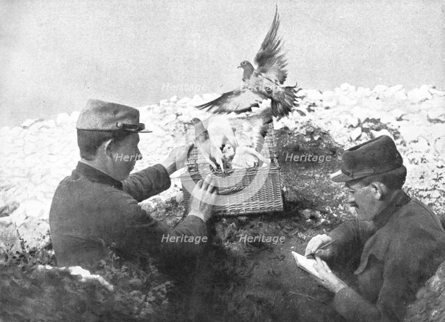 ''Precieux Auxiliaires; Un lacher de pigeons', 1915. Creator: Unknown.
