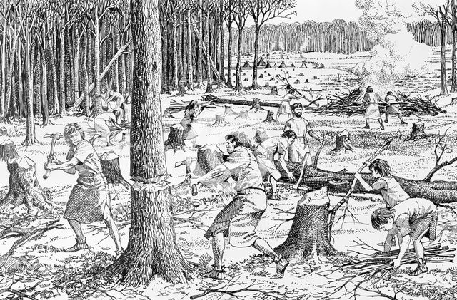 Prehistoric clearing of wildwood. Creator: Unknown.