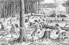 Prehistoric clearing of wildwood. Creator: Unknown