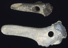 Prehistoric antler digging tools. Creator: Unknown