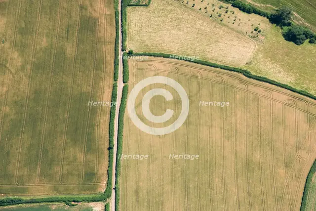 Prehistoric farms, Stogumber, Somerset, 2018. Creator: Historic England Staff Photographer.