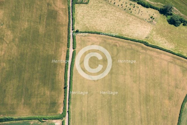Prehistoric farms, Stogumber, Somerset, 2018. Creator: Historic England Staff Photographer.