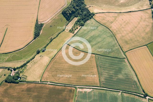Prehistoric farms, Stogumber, Somerset, 2018. Creator: Historic England Staff Photographer.