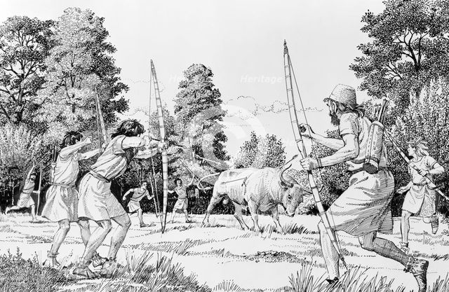 Prehistoric hunting of aurochs. Creator: Derek Lucas.