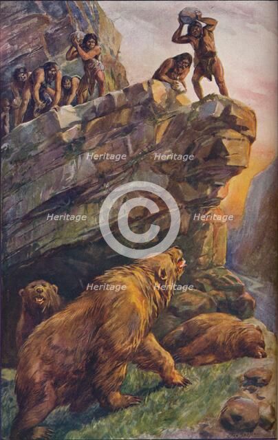 Prehistoric men attacking great cave bears, 1907. Artist: Unknown.