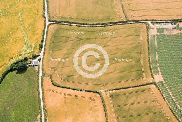 Prehistoric settlement, Lansallos, Cornwall, 2018. Creator: Historic England Staff Photographer.