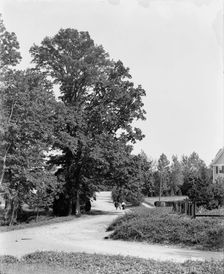 President at Chevy Chase, Washington, D.C., The, c1904. Creator: Unknown