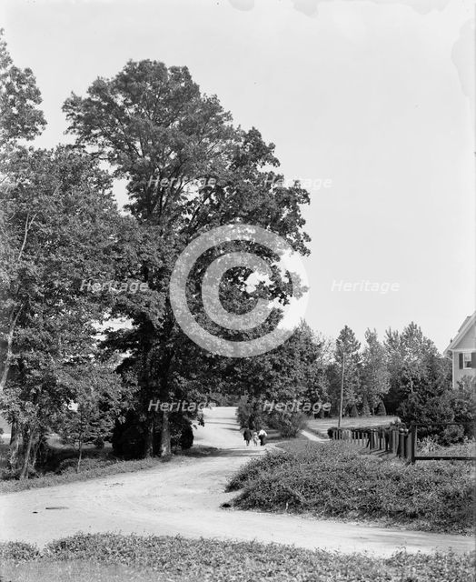 President at Chevy Chase, Washington, D.C., The, c1904. Creator: Unknown.