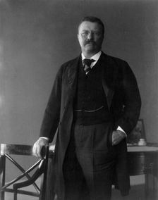 President Theodore Roosevelt, 1902. Creator: Frances Benjamin Johnston