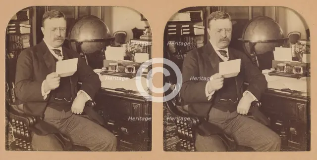 President Theodore Roosevelt at his desk in the White House, Washington, D.C., U.S.A., 1903. Creator: RY Young.
