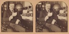 President Theodore Roosevelt at his desk in the White House, Washington, D.C., U.S.A., 1903. Creator: RY Young