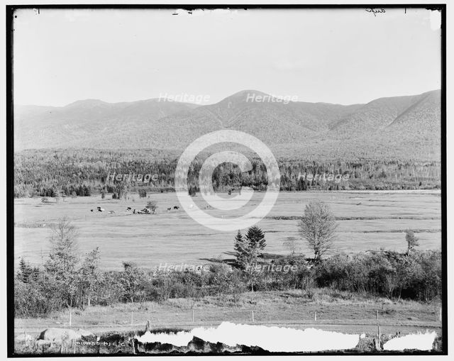 Presidential Range and Crawford Notch from golf links, White Mountains, N.H., between 1890 and 1901. Creator: Unknown.