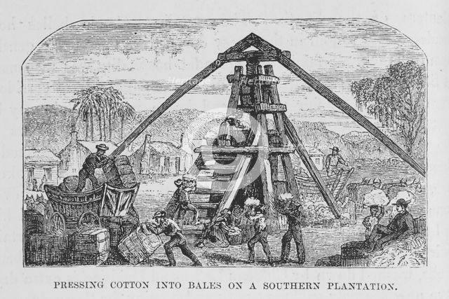 Pressing cotton into bales on a southern plantation, 1882. Creator: Unknown.