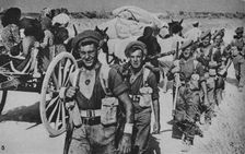 Pressing on from the Bridgehead 1943-44