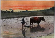 Preparation of a Rice Plantation in Japan c1890. Artist: Charles Gillot