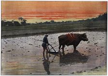 Preparation of a Rice Plantation in Japan c1890. Artist: Charles Gillot
