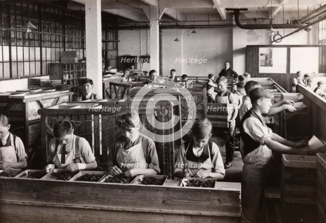 Preparation room for fruit centres, Rowntree factory, York, Yorkshire, 1920. Artist: Unknown