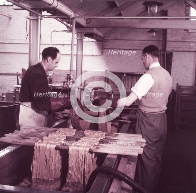 Preparing and dyeing material for the coronation robe, Braintree, Essex, c1953.  Creator: Arthur Charles Kirby Ware.