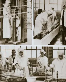 Preparing cat gut at the London Hospital's own factory, London, 20th century. Creator: Unknown