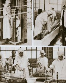Preparing cat gut at the London Hospital's own factory, London, 20th century. Creator: Unknown