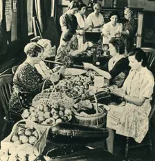 Preparing Fruit for Jam-Making, September 1941 1943. Creator: Unknown