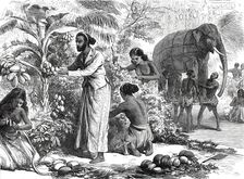 Preparing the decorations at Colombo, Ceylon, for the Royal Visit, from a sketch by one..., 1876. Creator: Unknown