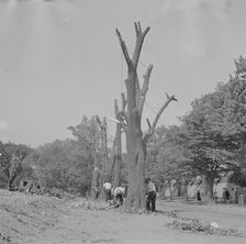 Preparing the ground for the construction of emergency buildings..., Washington, D.C, 1942. Creator: Gordon Parks