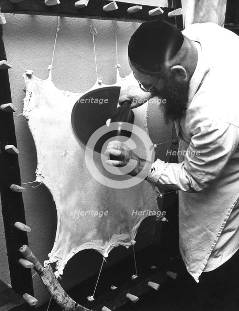 Preparing the parchment for a Sefer Torah, c1970s? Creator: Sidney Harris.