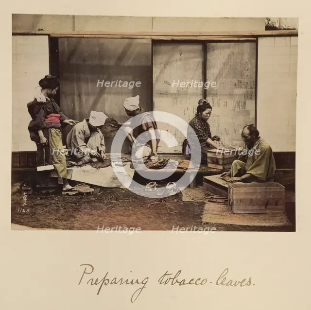 Preparing Tobacco Leaves, about 1873-1883. Creator: Shinichi Suzuki I.