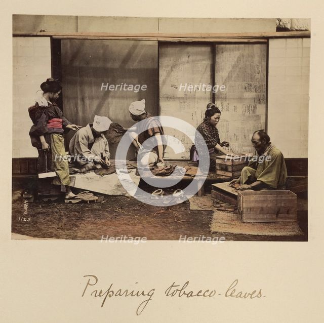 Preparing Tobacco Leaves, about 1873-1883. Creator: Shinichi Suzuki I.