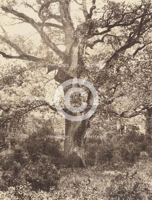 Près du Bodmer, 1860s. Creator: Eugène Cuvelier.