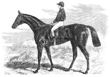 Pretender, winner of the Derby, 1869. Creator: Unknown