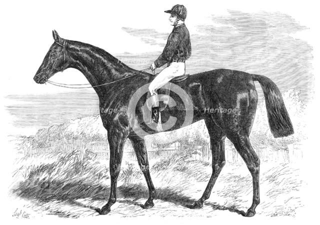 Pretender, winner of the Derby, 1869. Creator: Unknown.