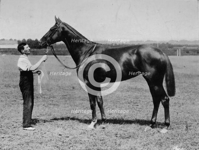 'Pretty Polly', 1901-1931, (1911). Artist: Unknown.