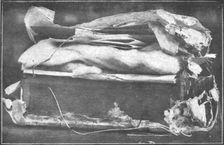 Prevoyance; La caissette trouvee, le 22 septembre 1916, enfouie dans la cour de la..., 1916. Creator: Unknown