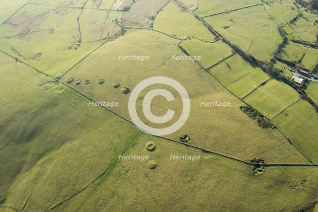 Priddy Nine Barrows Cemetery, Somerset, 2016. Creator: Damian Grady.