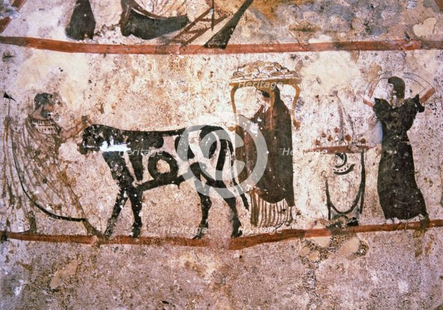Priest on the way to a sacrificial altar. Picture in the Lucanian tomb at the Paestum Museum.